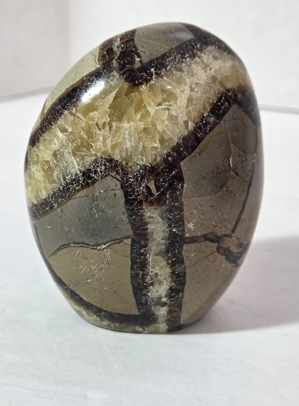 Septarian Polished Egg Prime Specimen Crystal Stone Mineral 8.61 Grams